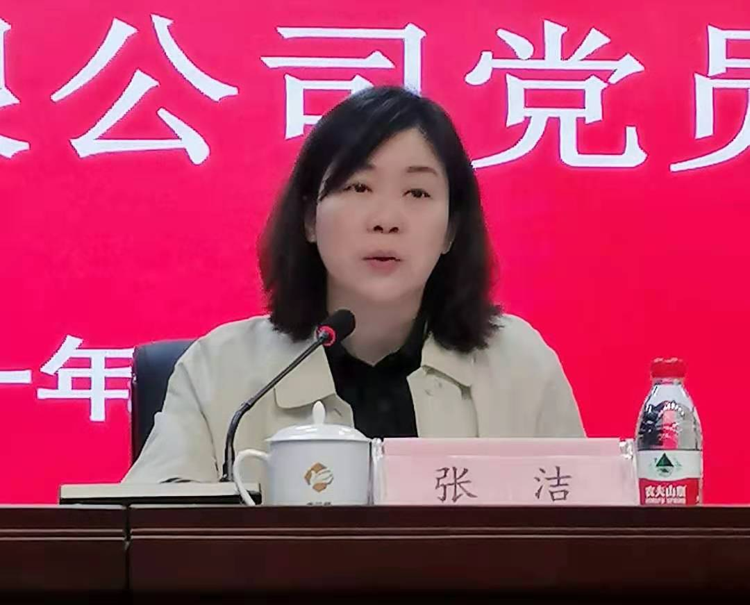 勇担新使命，砥砺再出发 ——中国共产党湖南康乃馨养老产业投资置业有限公司党员大会胜利召开(图2)