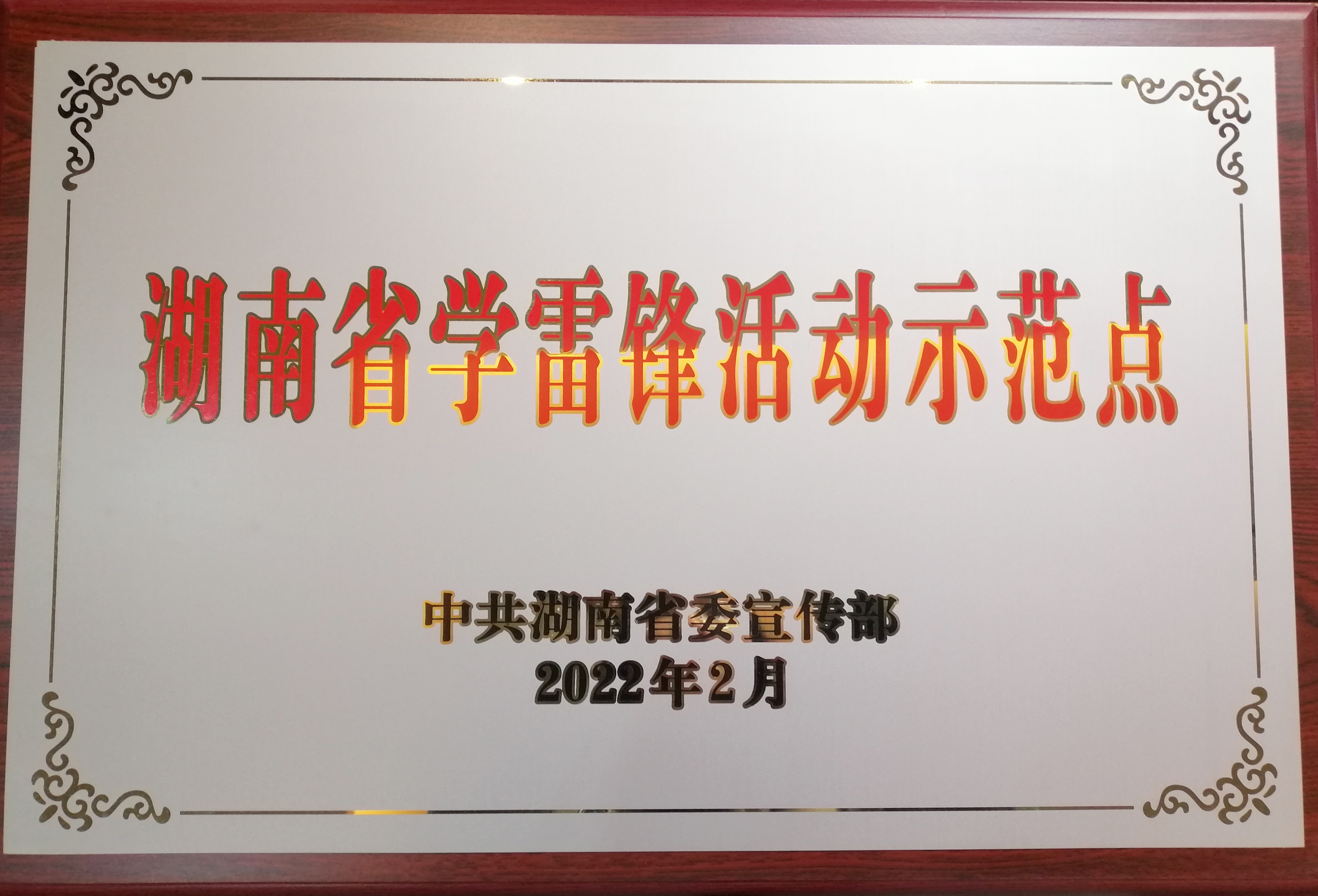 雷锋家乡学雷锋，一“馨”一意为老人：湖南发展集团康乃馨公司入选湖南省学雷锋活动示范点 