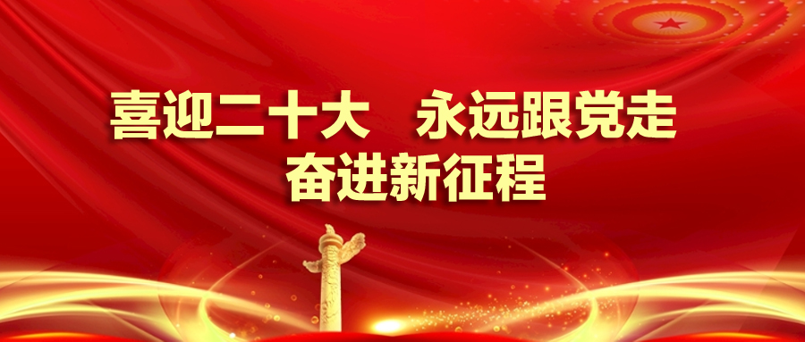 康乃馨公司“喜迎二十大，永远跟党走，奋进新征程”感言心声