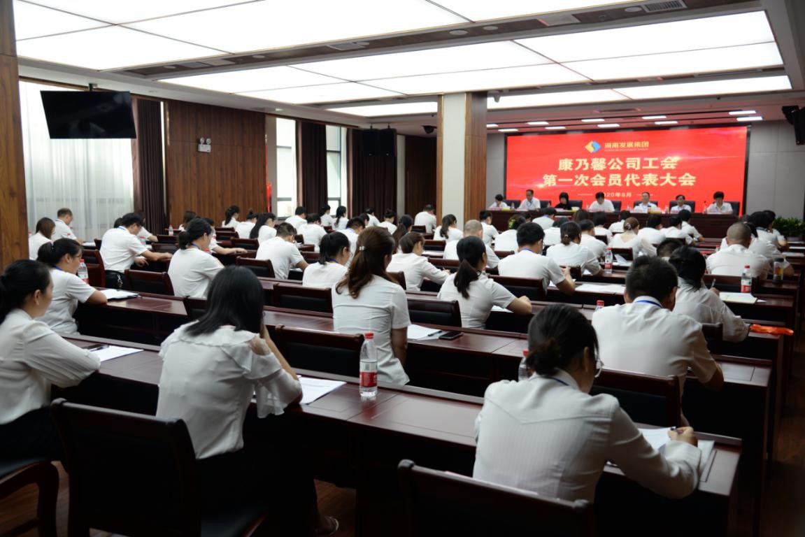 湖南发展集团康乃馨公司工会第一次会员代表大会 胜利召开(图1)