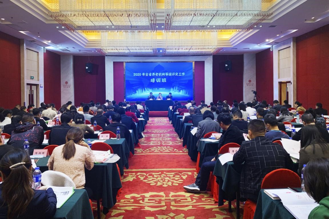 湖南发展集团康乃馨公司成功承办2020年全省养老机构等级评定工作培训班(图1)
